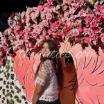 Myself Pooja Sharma independent college callgirlandhot call me and Photo 1 of 3 thumbnail