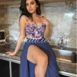Nehru Place Call Girls In Delhi Escort Service Cash Payment Quick Photo 1 of 4 thumbnail